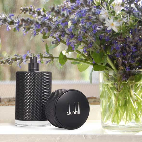 عطر ادکلن دانهیل آیکون الیت